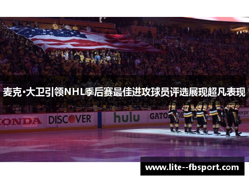 麦克·大卫引领NHL季后赛最佳进攻球员评选展现超凡表现