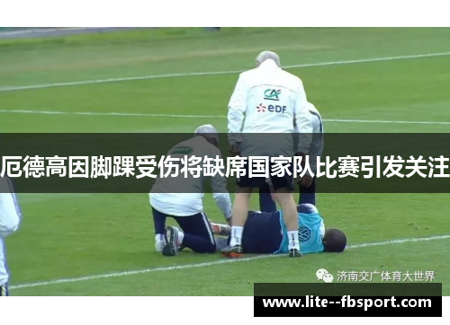 厄德高因脚踝受伤将缺席国家队比赛引发关注